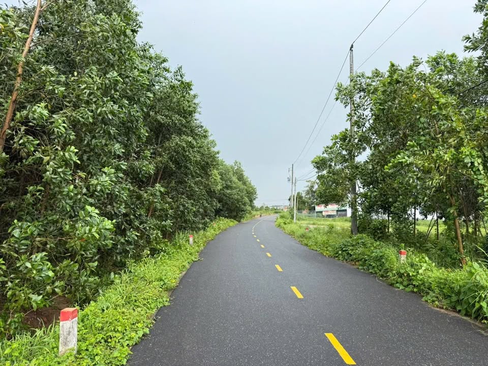 Đất nền mặt tiền Phước Long Thọ 150m² - Đầu tư sinh lời, gần biển!