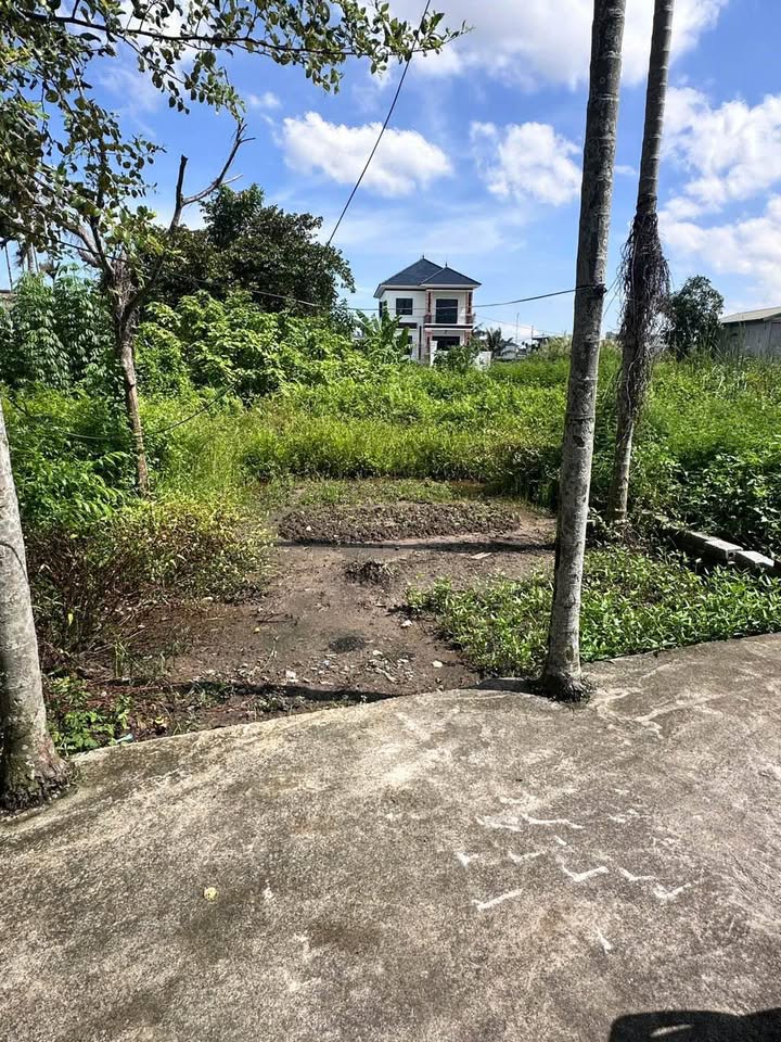 Đất Xích Thổ Hồng Thái An Dương 77.9m² giá 1.3 tỷ - Cơ hội đầu tư tuyệt vời!