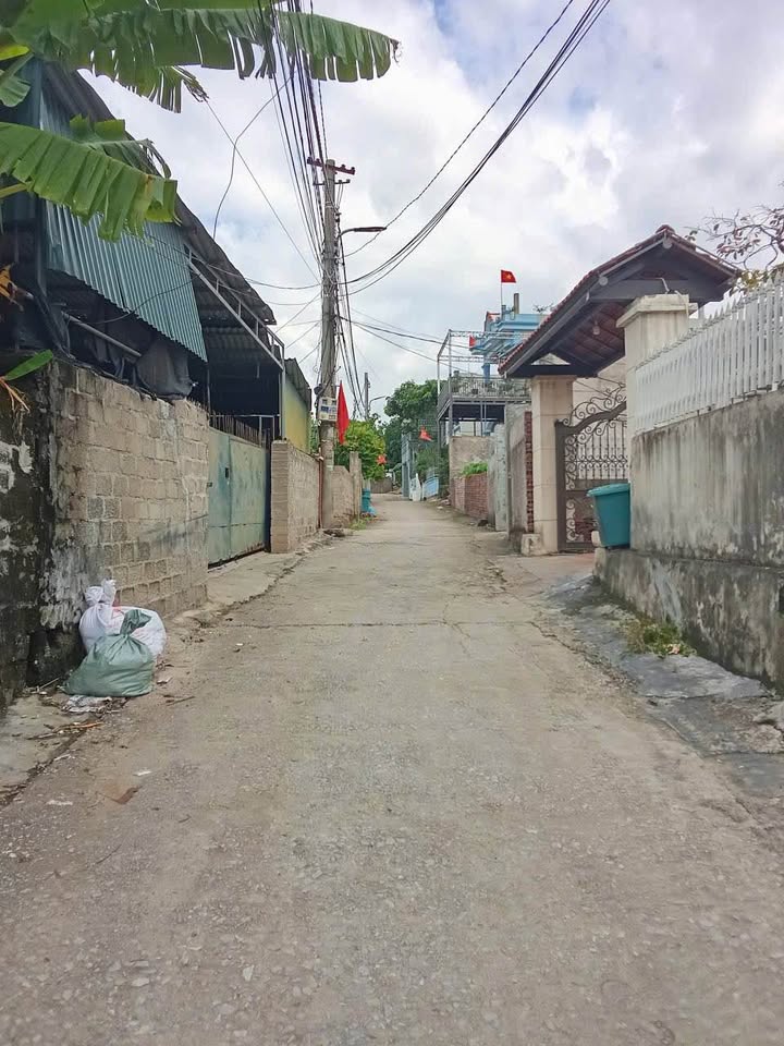 Đất nền Đại Yên, Hạ Long, Quảng Ninh 358.5m² - Đầu tư sinh lời ngay!