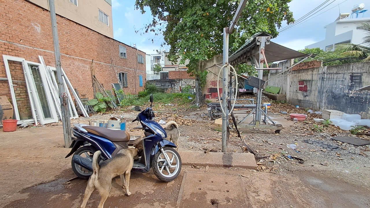 Đất nền Hiệp Bình Thủ Đức 248m² giá 13.5 tỷ - Tiềm năng phát triển lớn!