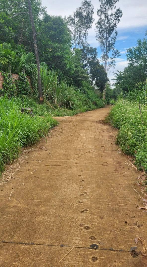 Đất nền 7200m² tại Bình Hải - Gần dân cư, giá thỏa thuận hấp dẫn