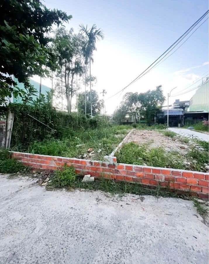 Lô đất 64.6m² kiệt 6m Trần Ngọc Sương, Cẩm Lệ chỉ 2.9 tỷ - Đầu tư sinh lời ngay!