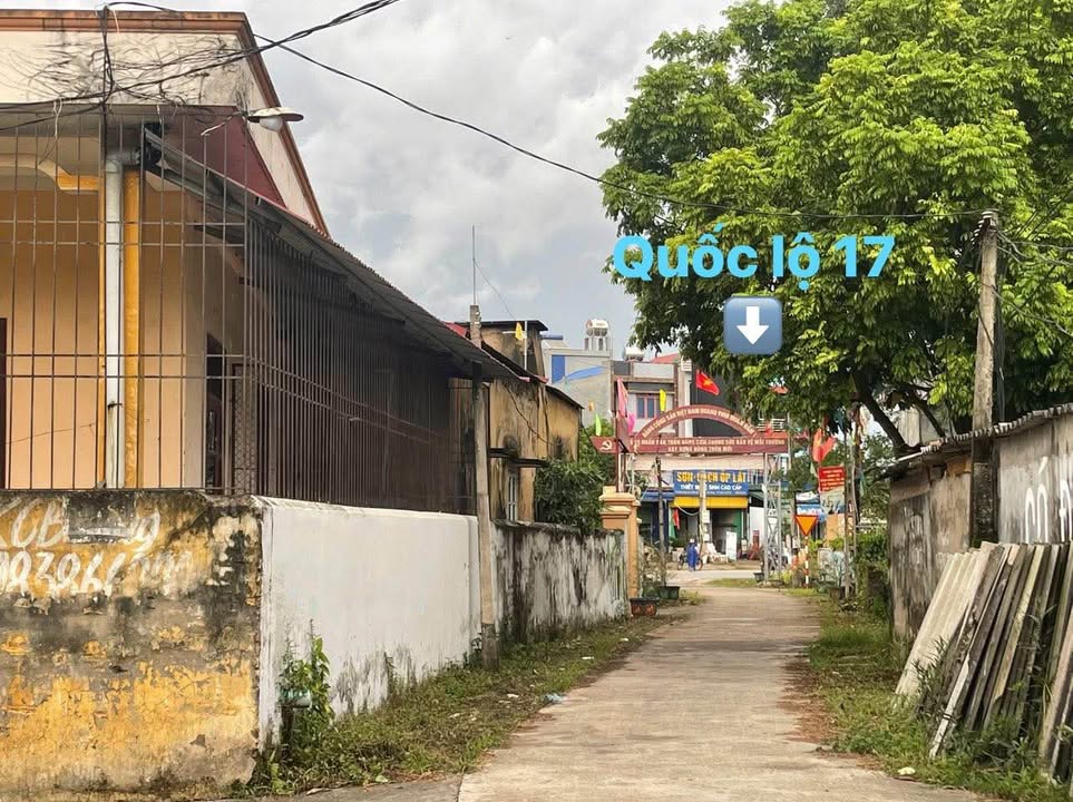 Đất thổ cư 90m² tại Hàng Cơm, Việt Lập, Tân Yên - Giá chỉ 1 tỷ