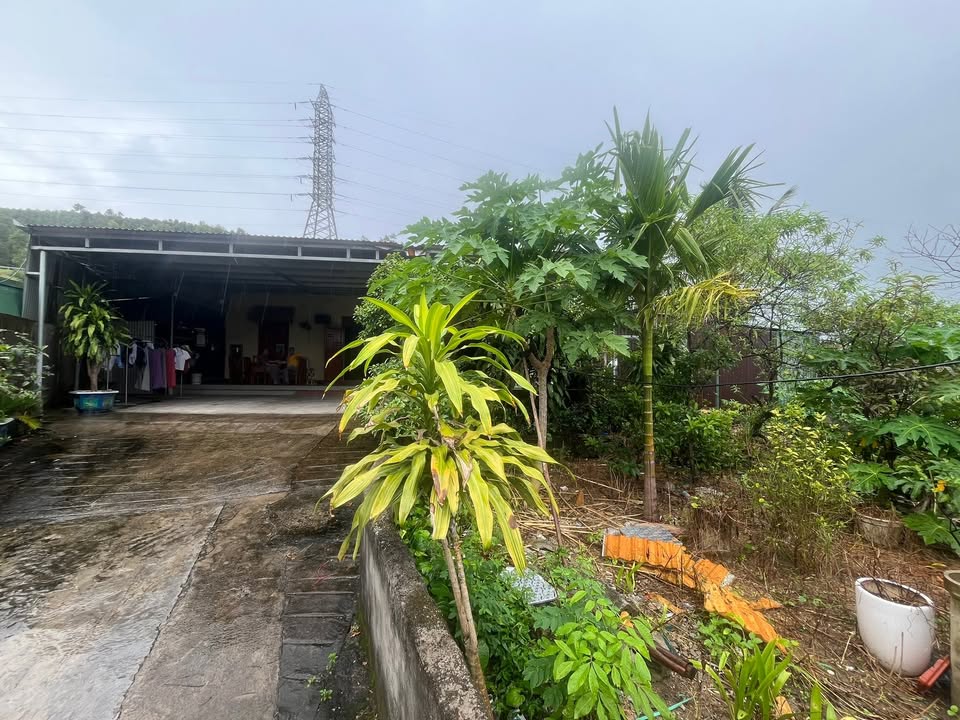 Đất nền Vạn Yên, Việt Hưng, 522m² chỉ 6.264 tỷ - Cơ hội đầu tư sinh lời!