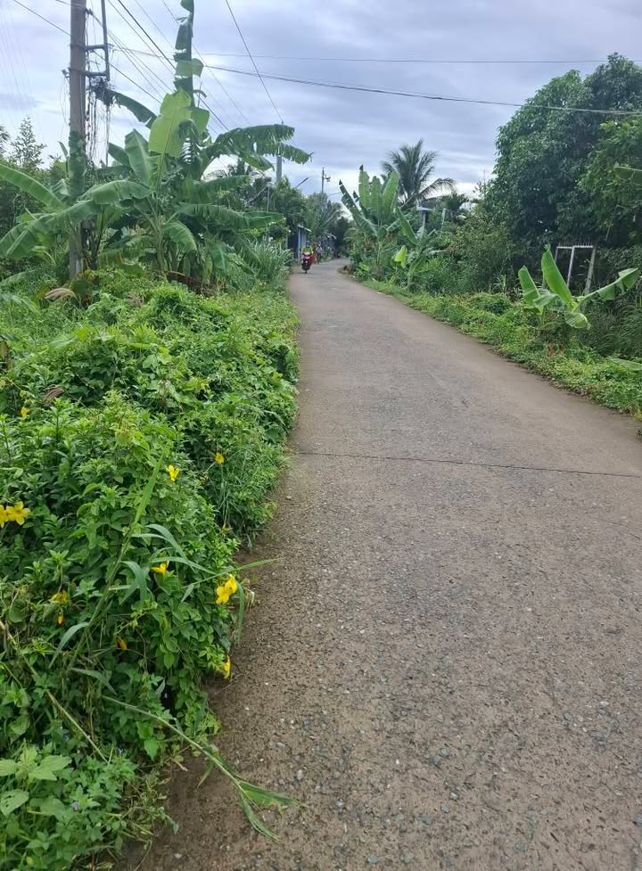 Đất nền mặt tiền Trần Trọng Quốc, 150m² giá 800 triệu - Đầu tư sinh lời ngay!