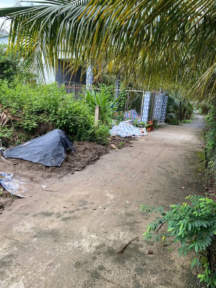 Đất nền Phước Thạnh, Mỹ Tho 100m² giá 250 triệu - Cơ hội đầu tư hấp dẫn!