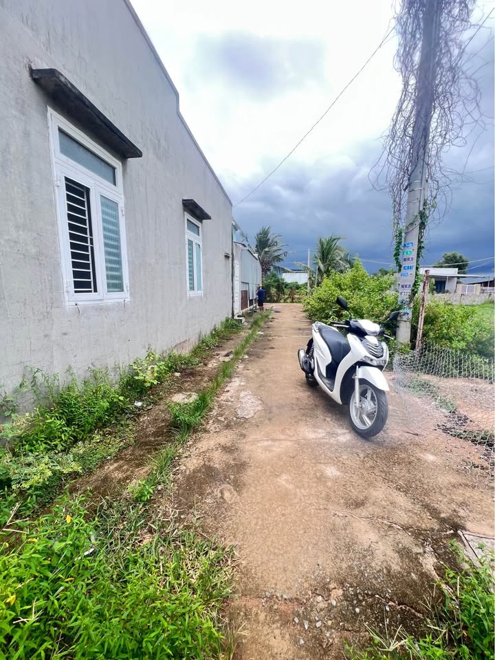 Đất thổ cư mặt tiền đường Phan Trọng Tuệ 100m² giá 750 triệu - Hướng Đông mát mẻ!