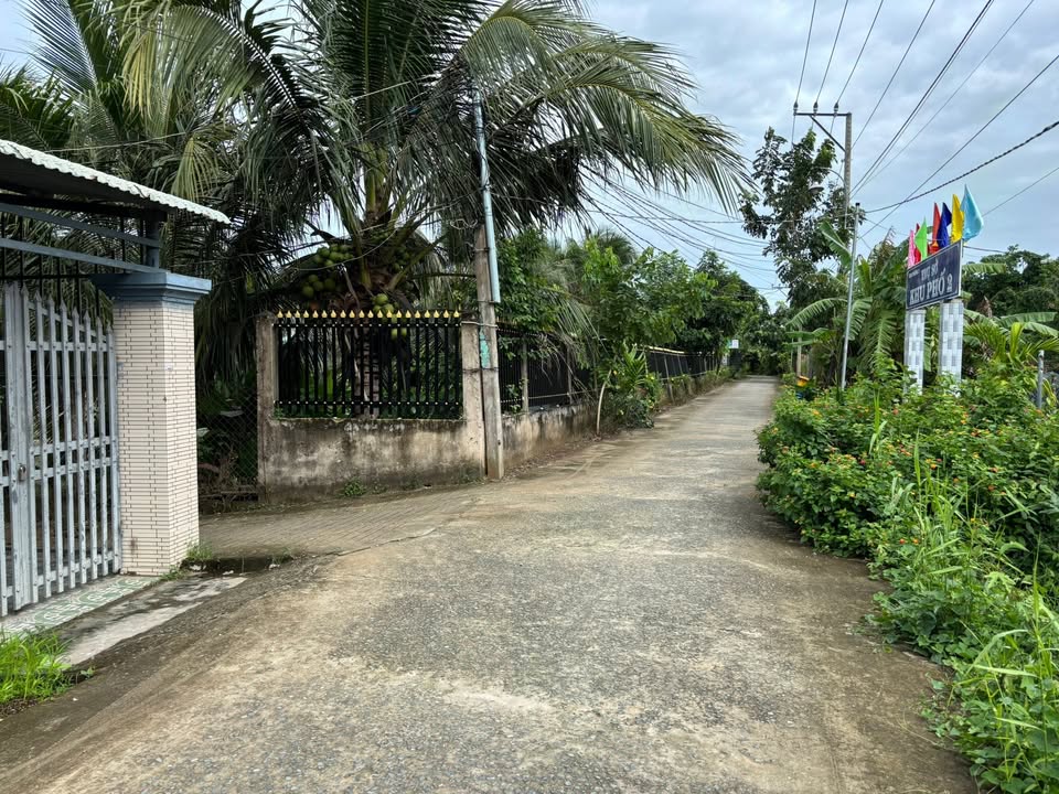 Đất vườn cây lâu năm 1404m² tại phường 3, Cai Lậy - Giá chỉ 3.51 tỷ VND!