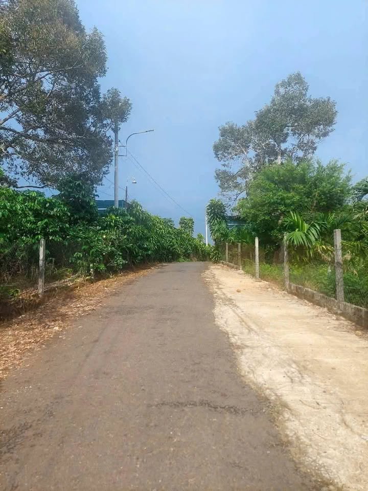 Đất nền 1000m² Phường Lộc Tiến, Bảo Lộc giá 4.99 tỷ - Đường xe hơi vào tận nơi!