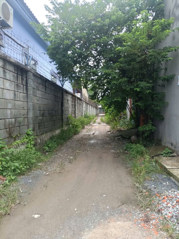 Đất nền Phú Hòa Đông 238m² giá 2.1 tỷ - Gần trung tâm hành chính Củ Chi!