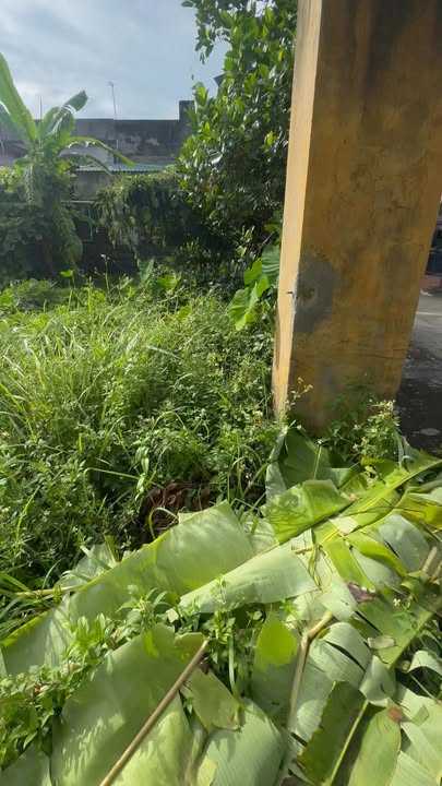 Đất nền Phú Lương Đông Hưng 200m² - Vị trí đắc địa, tiện ích đầy đủ!