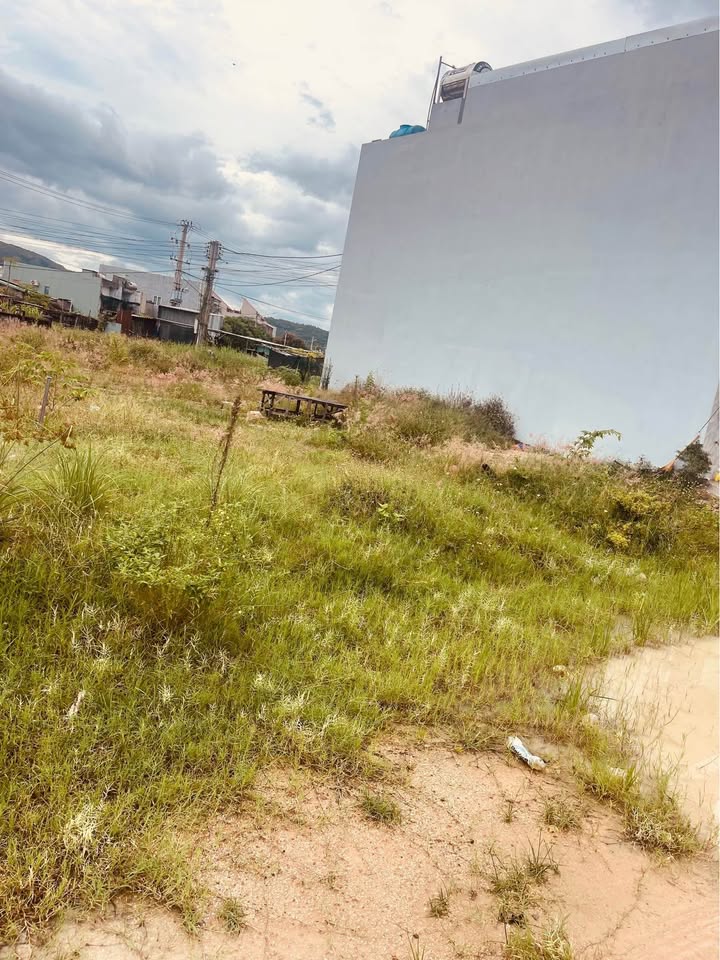 Đất nền D6 Tái Định Cư Nhơn Bình 50m² giá 1 tỷ - Sổ đỏ chính chủ!