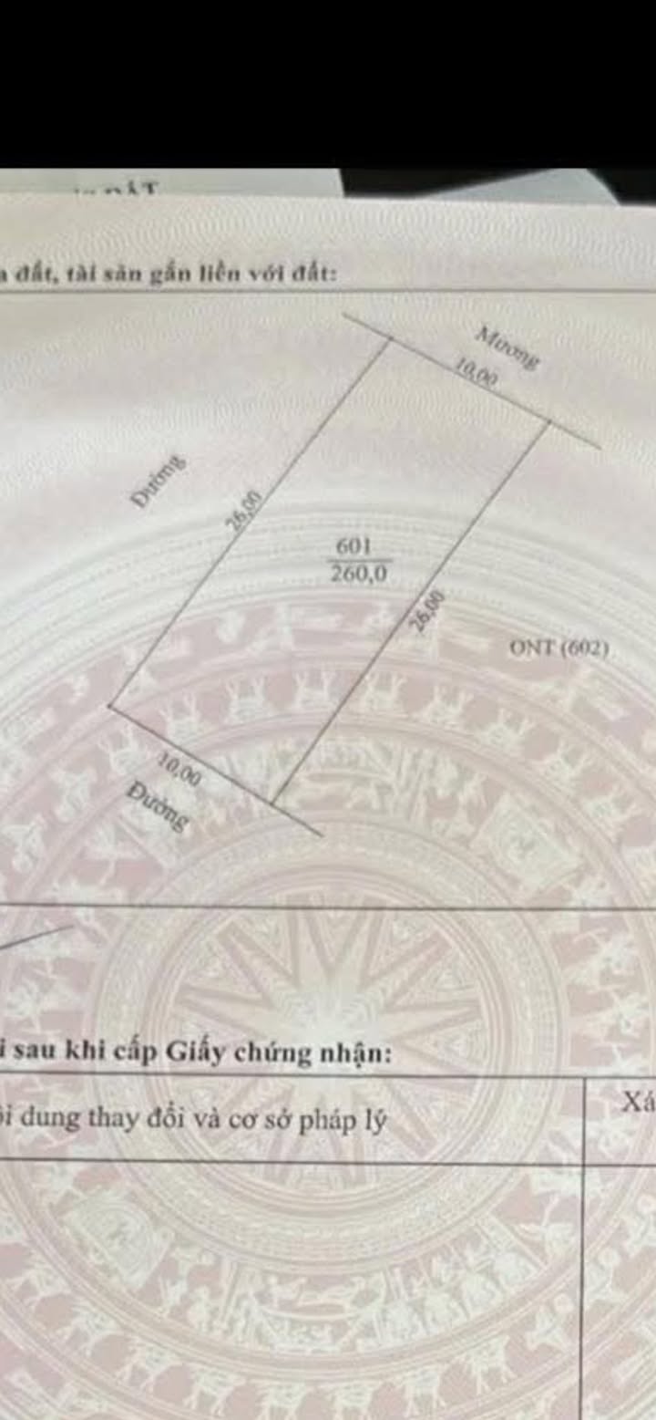 Đất thổ cư 260m² tại thôn 8, xã Quỳnh Sơn, giá 2.5 tỷ - Cơ hội đầu tư tuyệt vời!