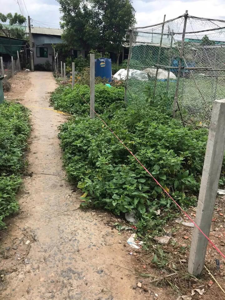 Bán đất chính chủ Bình Tân 2365m² giá 61.5 tỷ - Mặt tiền 61m hiếm có!