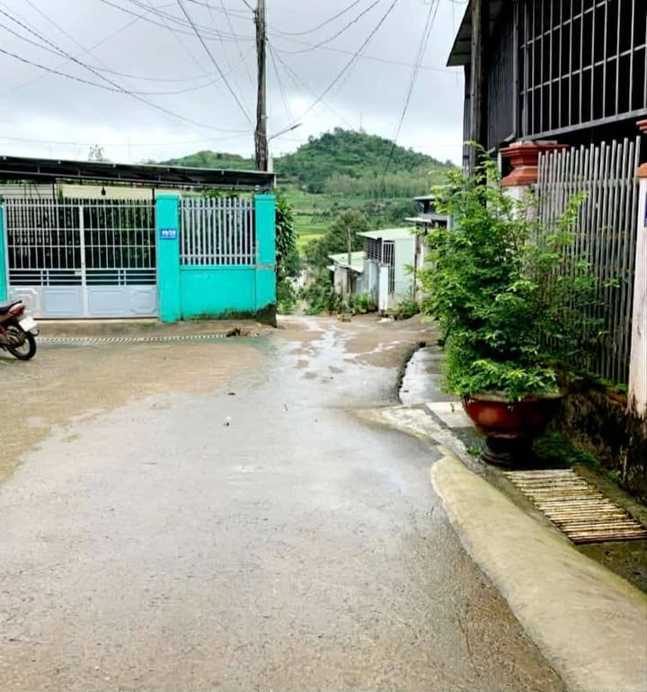 Đất nền chính chủ 100m² hẻm ô tô đường Nguyễn Thiếp, phường Diên Hồng - Giá 1.2 tỷ hấp dẫn!