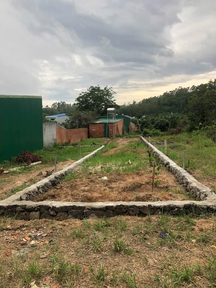 Đất nền 260m² đường Nguyễn Trường Tộ, phường Ea Kao, giá 490 triệu - Cơ hội đầu tư hấp dẫn!