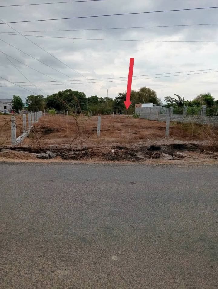 Đất thổ cư Ma Lâm 205m² giá 600 triệu - Sổ đỏ chính chủ, mặt tiền nhựa