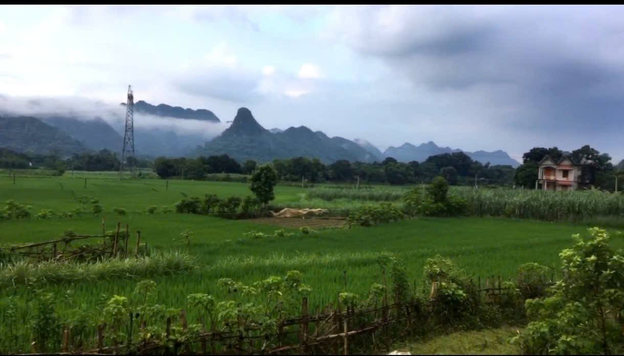 Đất nền Đa Phúc Yên Thủy 1300m² giá 1 tỷ - Tiềm năng đầu tư lớn!