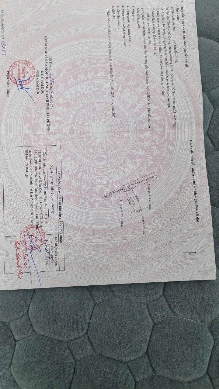 Đất nền đẹp tại khu phố Quang Trung, Minh Đức, Đồ Sơn 62,7m² - Đầu tư sinh lời!