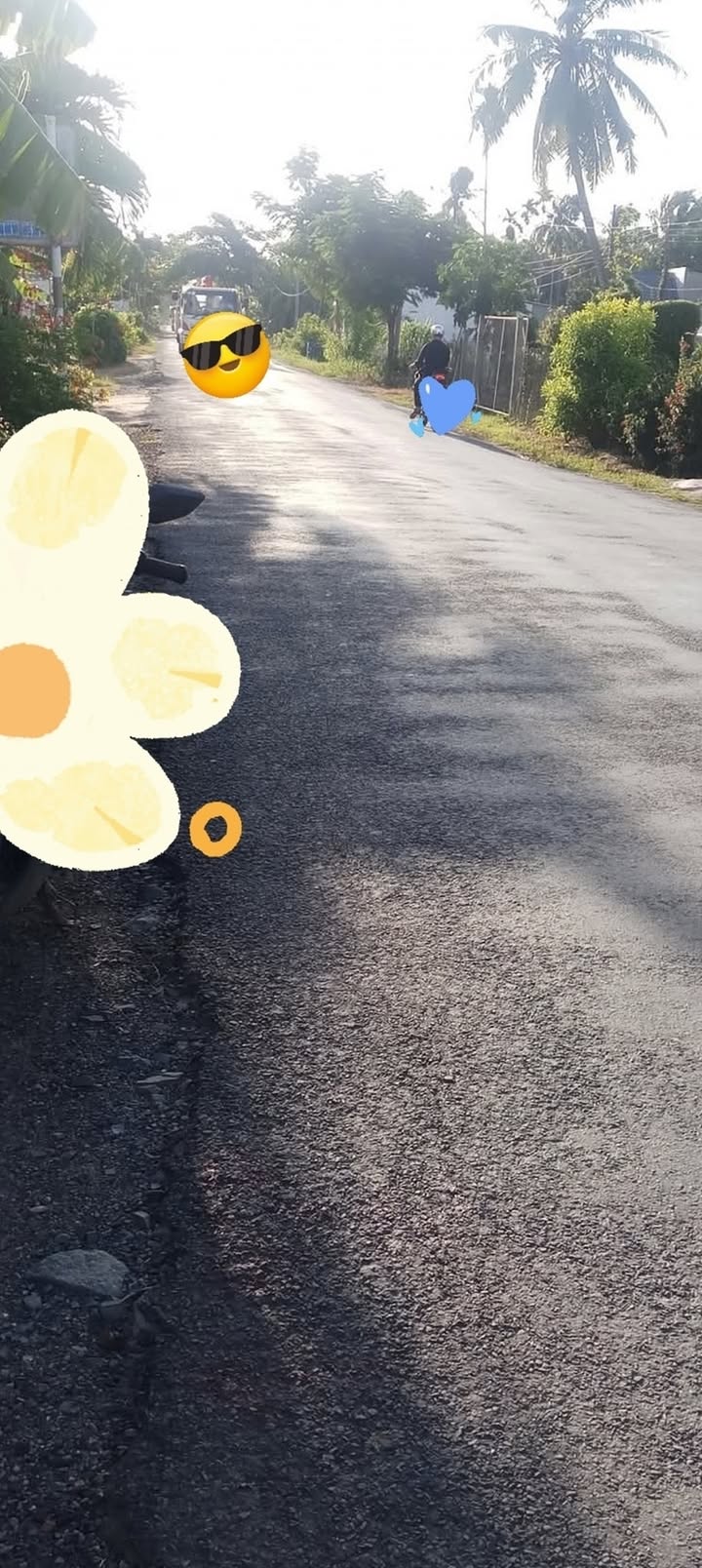 Đất nền mặt tiền tỉnh lộ 911, xã Tân An, Càng Long, Trà Vinh - Giá chỉ 1.4 tỷ!