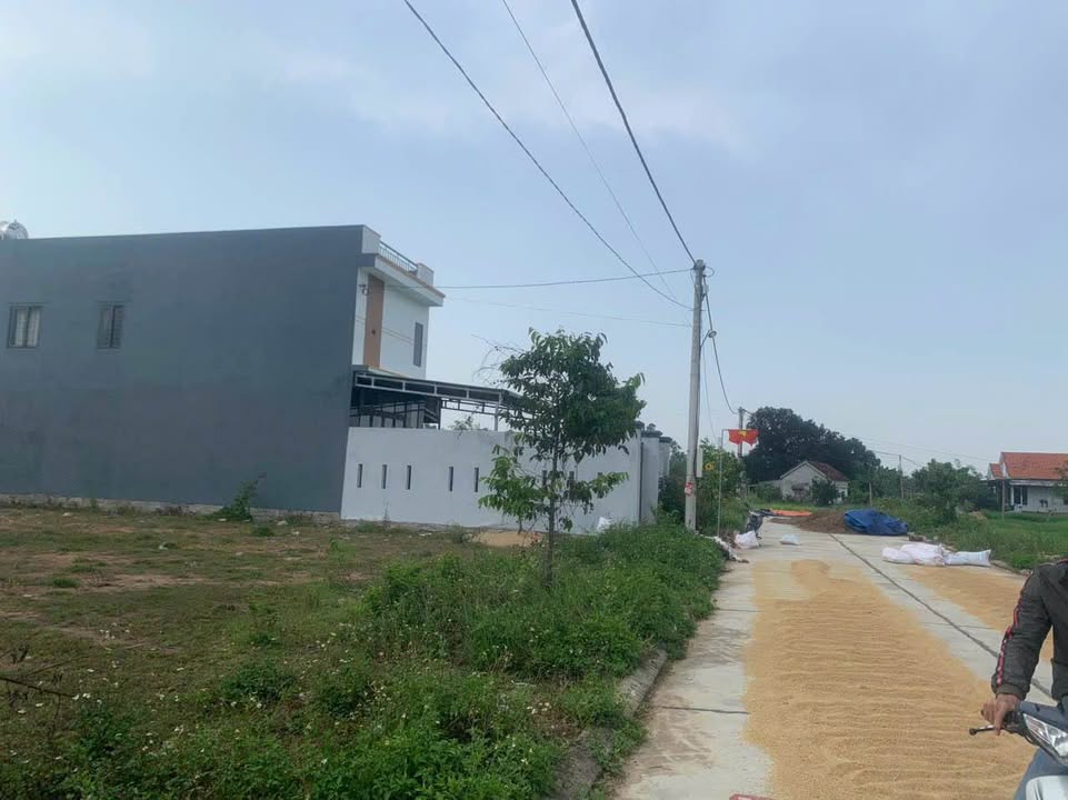 Đất thổ cư Nhơn Tân 150m² giá chỉ 5xx triệu - Cơ hội đầu tư tuyệt vời!