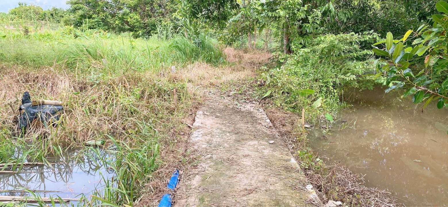 Đất nền Long Tuyền, Bình Thủy 179,3m² giá 440 triệu - Cơ hội đầu tư tuyệt vời!