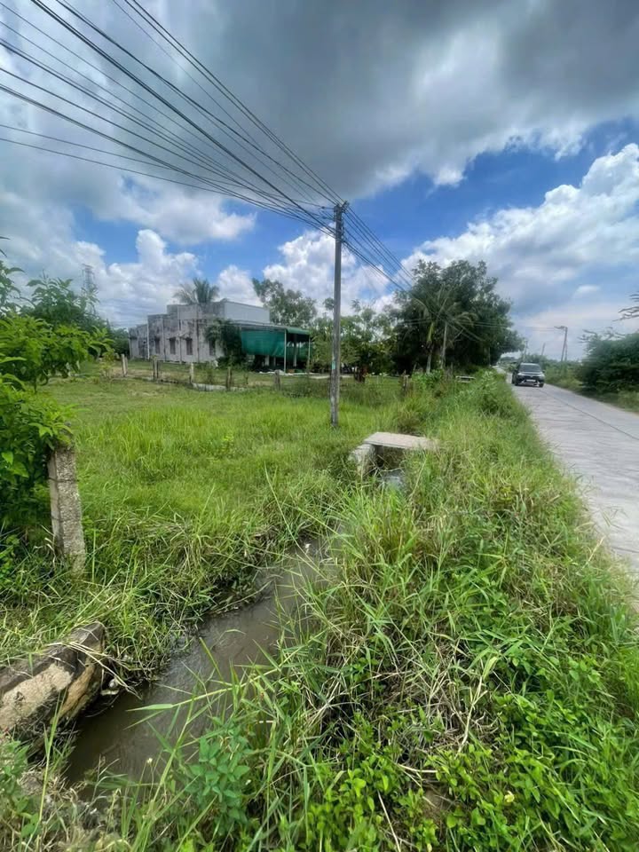 Đất thổ cư 243m² mặt tiền đường Cây Bông Giấy, Hàm Thuận Bắc - Giá 450 triệu, bớt lộc cho khách thiện chí!