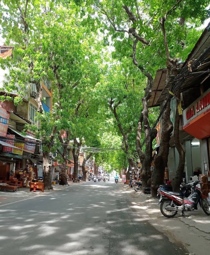 Nhà mặt phố La Thành, quận Đống Đa 70m² giá 57 tỷ - Kinh doanh sầm uất!