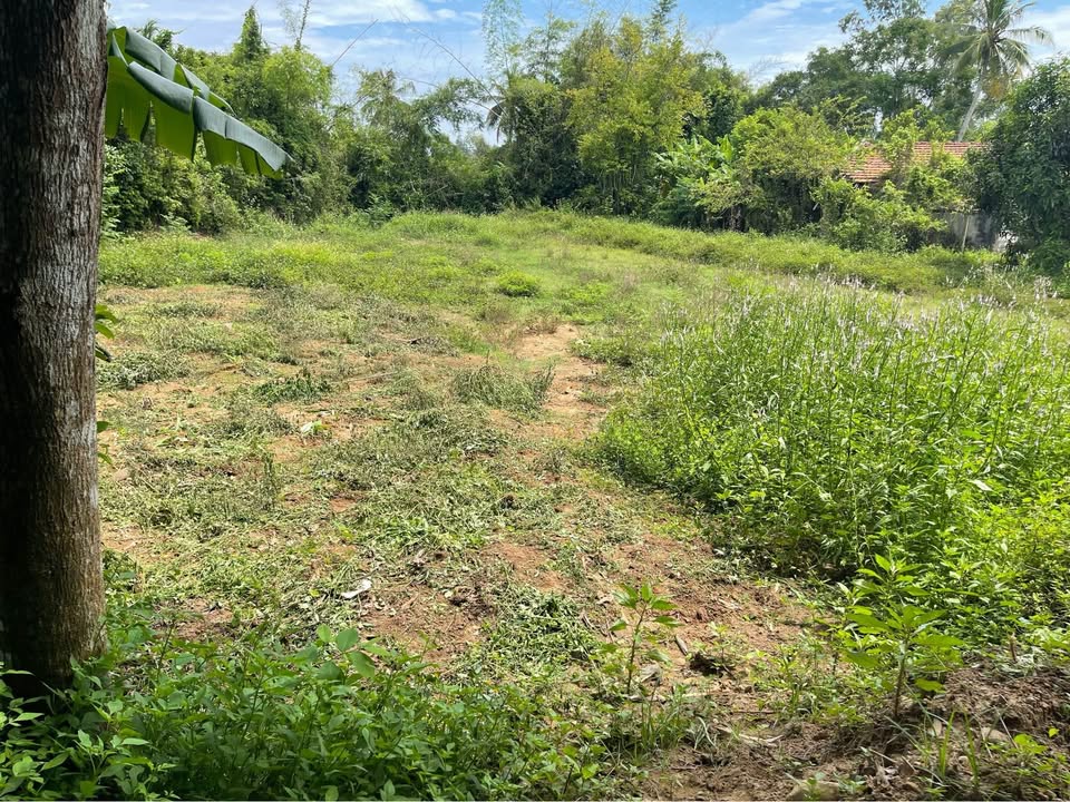 Đất nền Tịnh Hoà 800m² giá 700 triệu - Đường ô tô vào tận nơi!