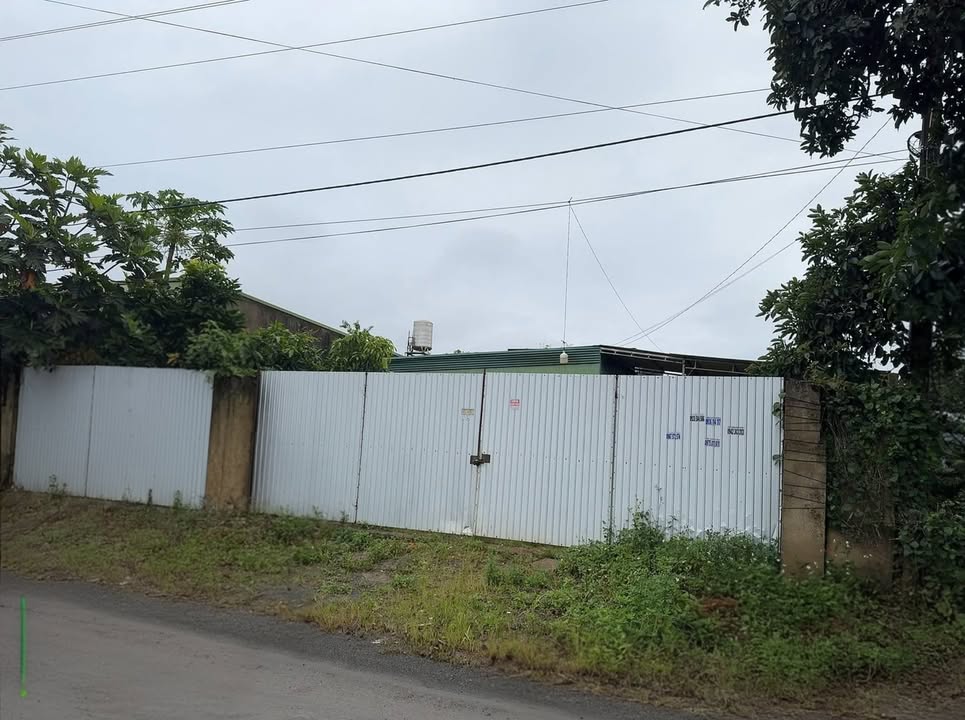 Đất nền mặt tiền đường Liên Xã Đinh Trang Hòa 400m² giá 4.3 tỷ - Tiềm năng đầu tư tuyệt vời!