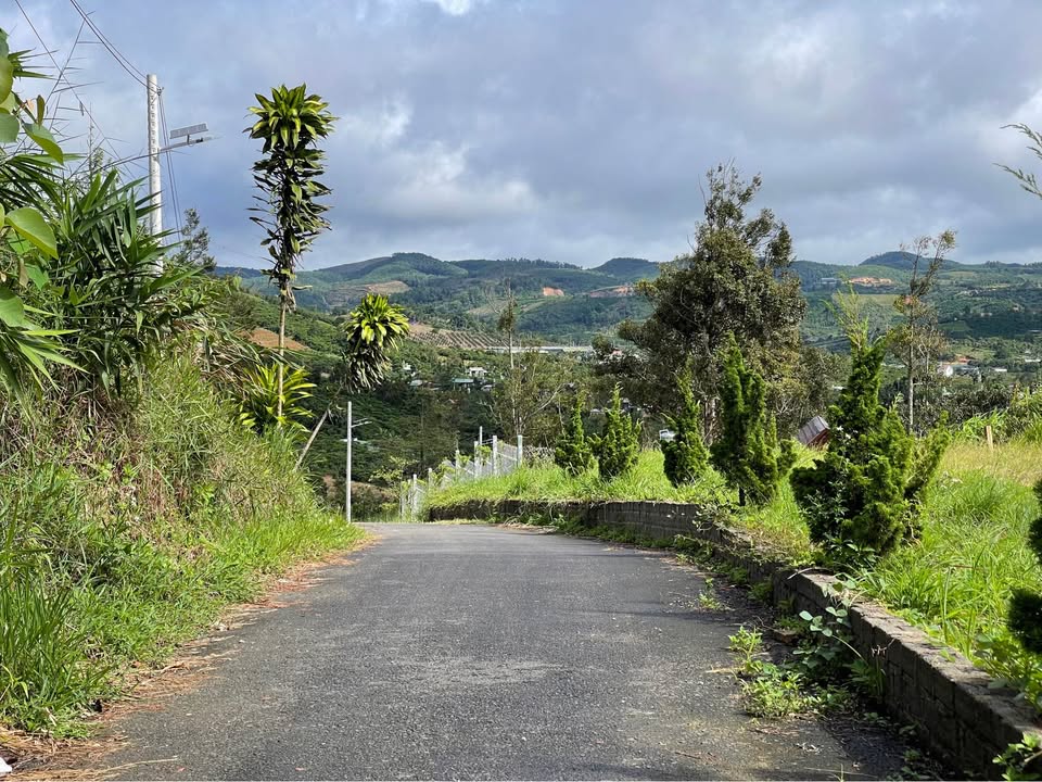 Đất nền Bảo Lộc 414m² giá 2.2 tỷ - View thành phố tuyệt đẹp!