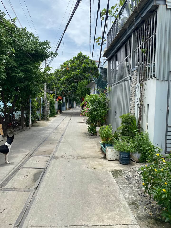 Đất nền thôn Vĩnh Ngọc 81.9m² giá 699 triệu - Đầu tư sinh lời ngay!