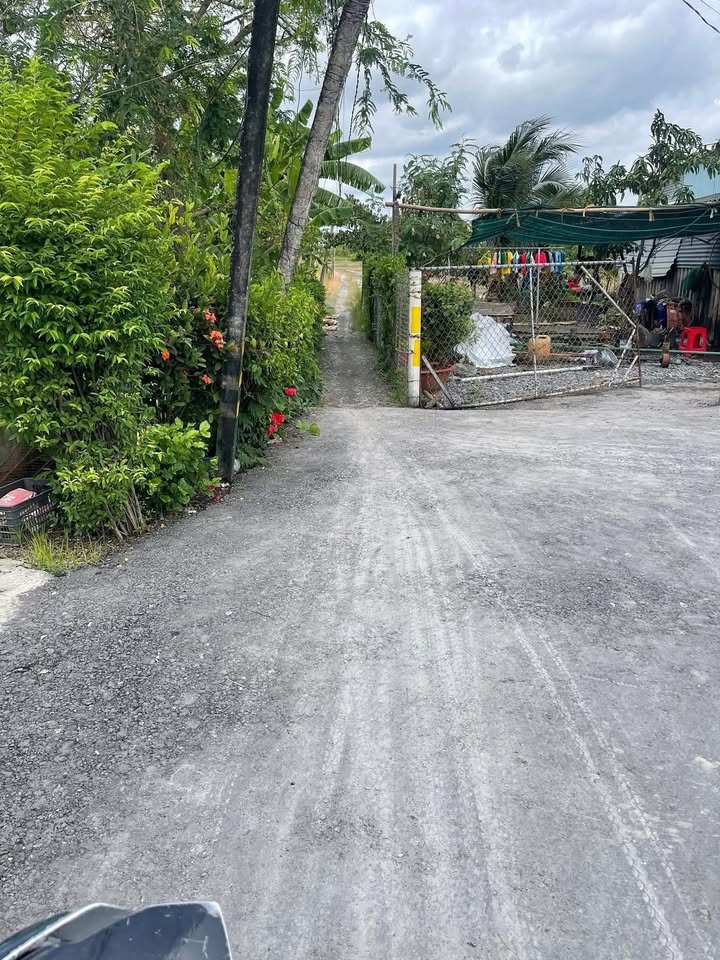 Đất lúa 840m² tại ấp 1 Phước Đông, Cần Đước giá 800 triệu - Đường thông thuận lợi!