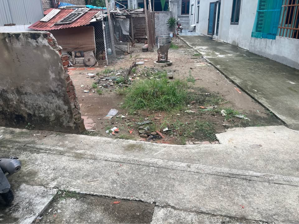 Đất thổ cư 98.4m² tại Hoàng Kim, Mê Linh - Tiềm năng đầu tư cao!