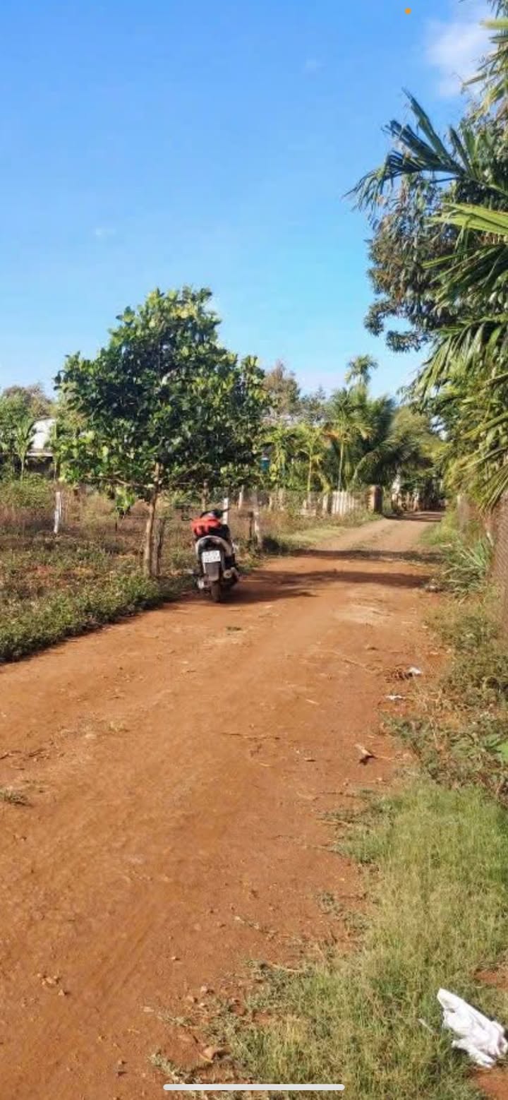 Đất nền chính chủ tại Thôn 3, xã Ea Ktur, Đắk Lắk - Diện tích 321m², giá chỉ 8.052 tỷ!