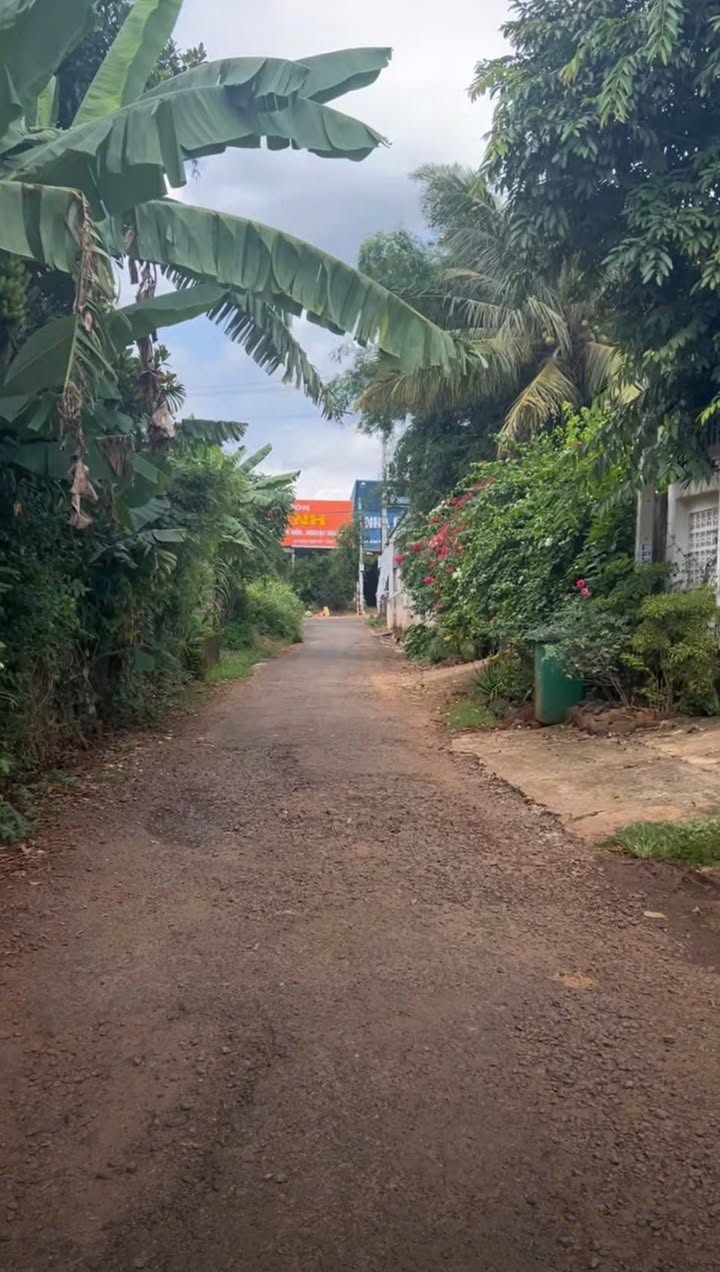 Đất mặt tiền đường A, thôn 6 Cư Êbur, 120m² giá 1.85 tỷ - Vị trí đẹp, giá tốt!