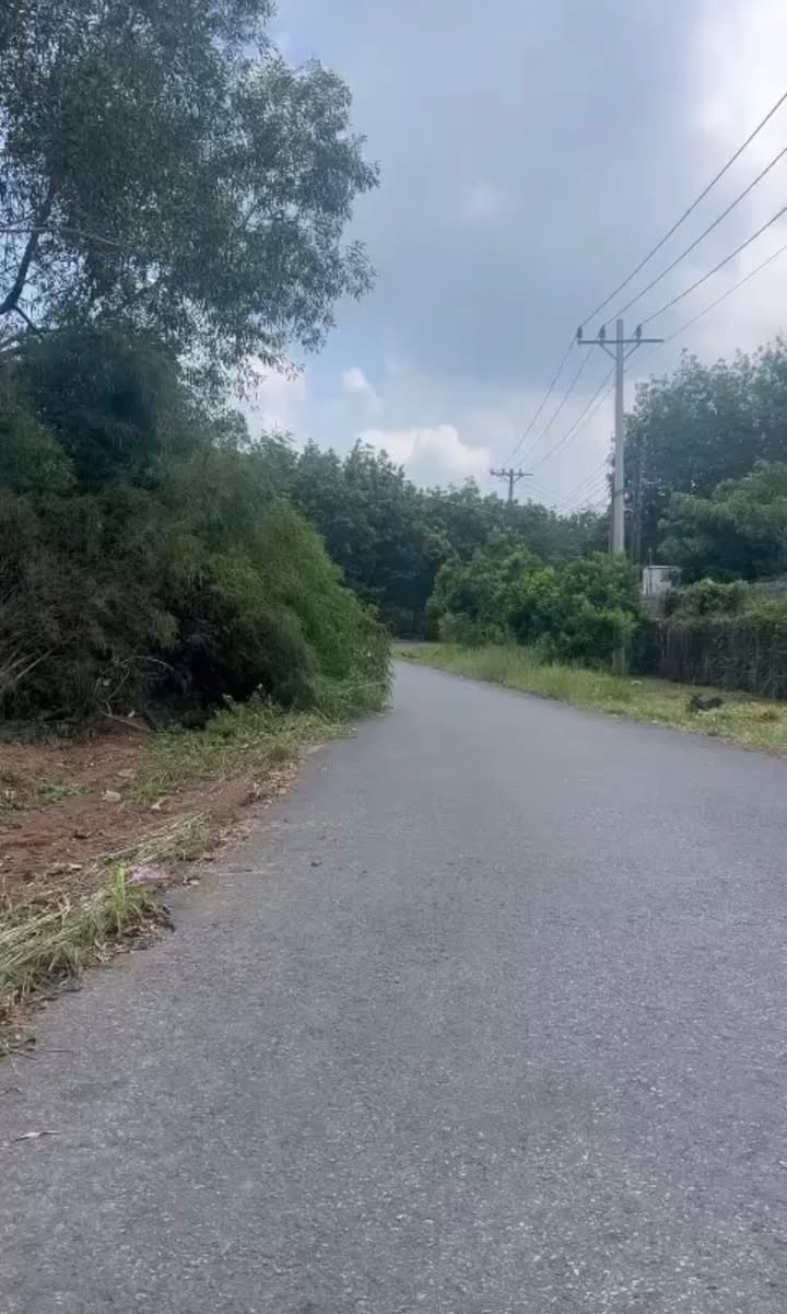 Đất nền mặt tiền Văn Công Khai, xã Dầu Tiếng 5200m² giá chỉ 700 triệu - Cơ hội đầu tư hấp dẫn!