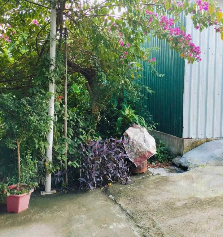 Đất nền Kiến An 54.28m² giá 2.1 tỷ - Ngõ rộng ô tô vào thoải mái!