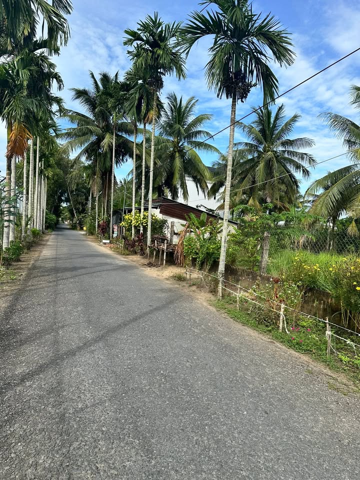 Đất nền mặt tiền Nguyễn Viết Xuân, 150m² chỉ 1 tỷ - Cơ hội vàng đầu tư!