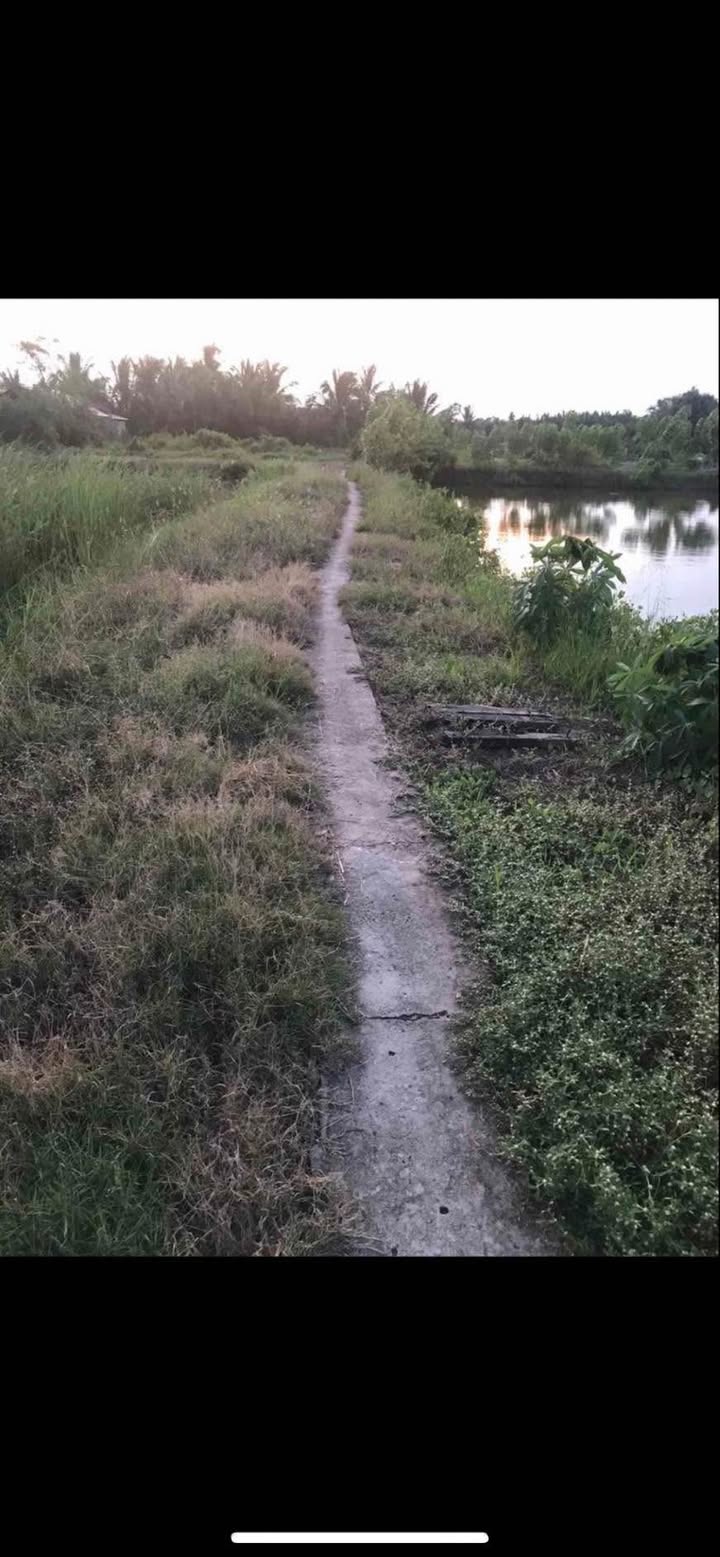 Đất thổ cư 100m² xã Phước Lại, Long An - Giá chỉ 400 triệu, sổ đỏ chính chủ!