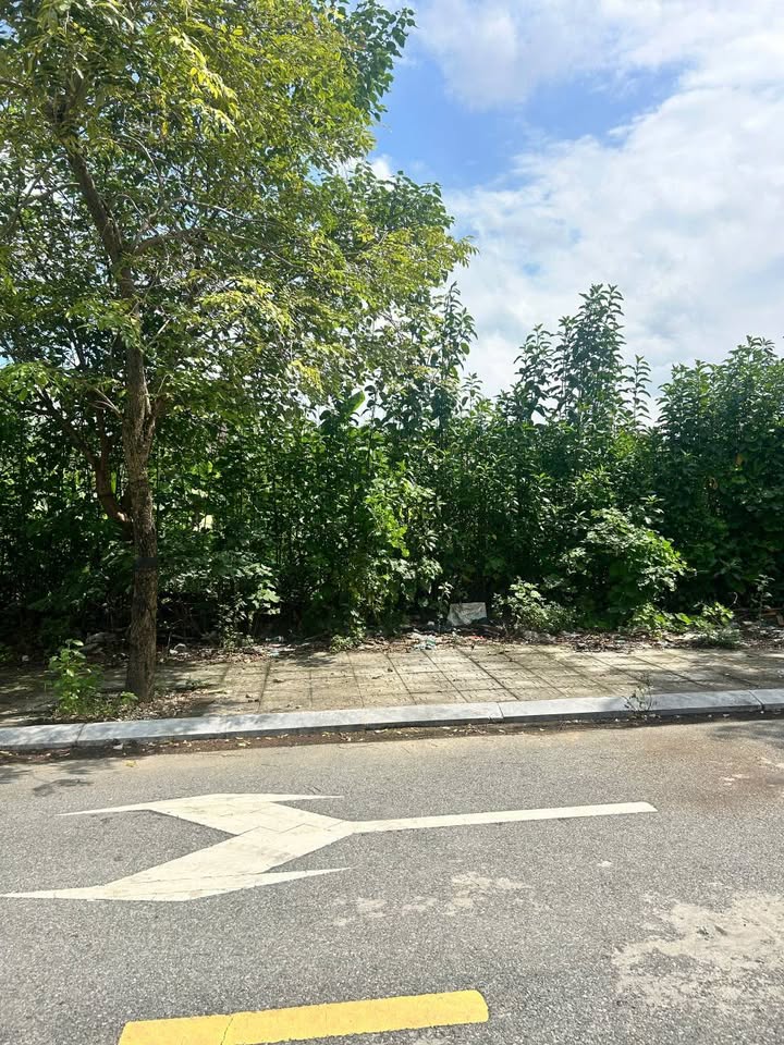 Đất nền AROMA TRANG HẠ Từ Sơn 110m² giá chỉ 5 tỷ - Sổ đỏ chính chủ!