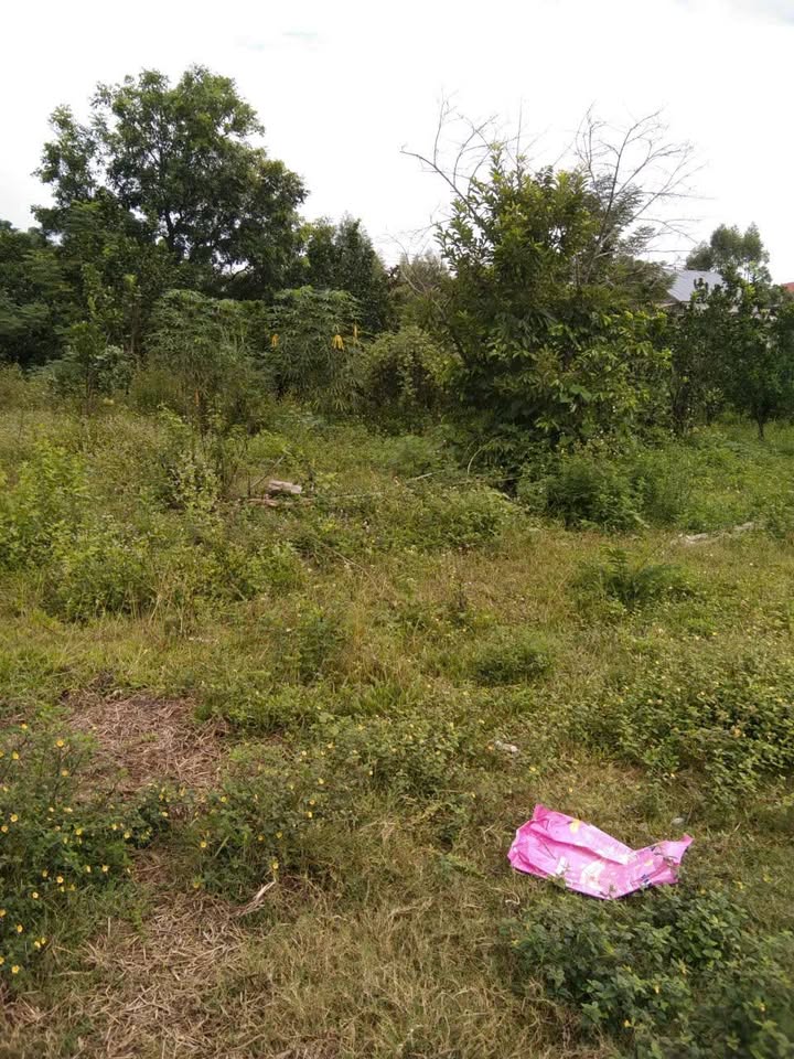 Bán đất nền An Dương, Tân Yên, Bắc Giang 120m² giá 800 triệu - Đất sạch, pháp lý rõ ràng!