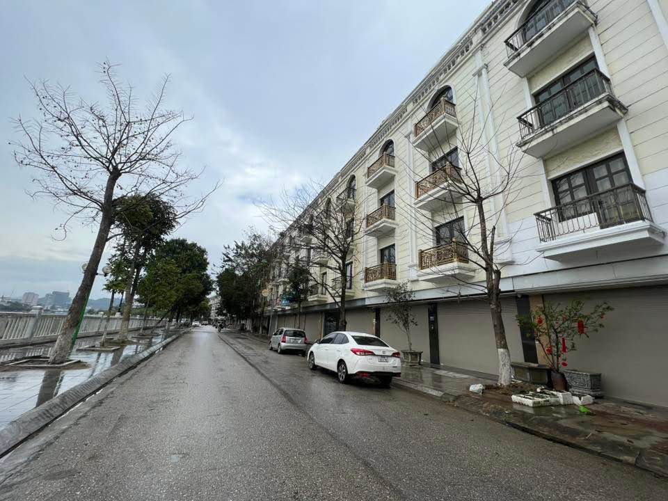 Shophouse đường D1 Lào Cai 99m² giá 6.5 tỷ - Mặt View Sông Hồng