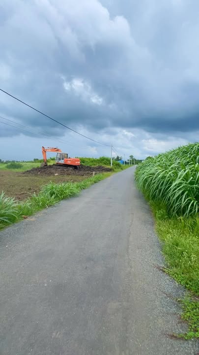 Đất nền Ấp Bình Ninh, Gò Công Tây 100m² giá 390 triệu - Đầu tư sinh lời ngay!