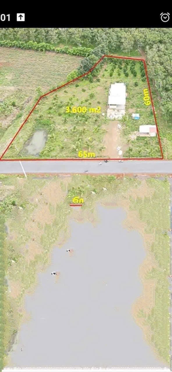 Đất nền Hòa Hưng Xuyên Mộc 10,800m² giá 1 tỷ - Cơ hội đầu tư tuyệt vời!