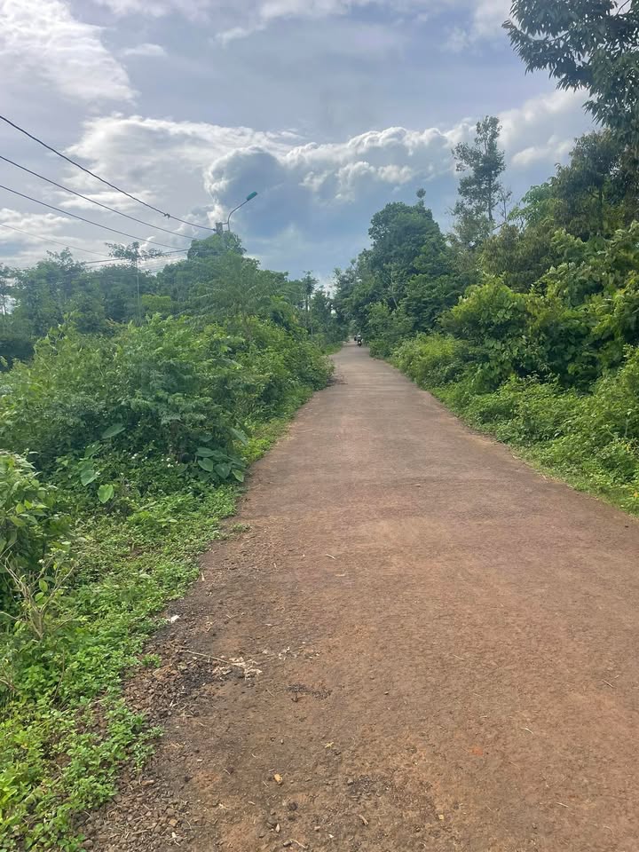 Đất vườn mặt đường nhựa Buôn Tăng Ju 1140m² giá 1.95 tỷ - Đầu tư sinh lời ngay!