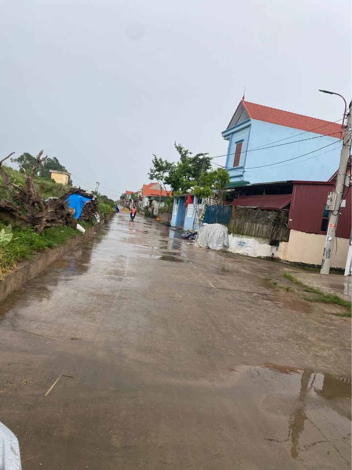 Đất nền Mỹ Lộc, Gia Bình 74m² và 80m² giá từ 1.6 tỷ - Cơ hội đầu tư hiếm có!