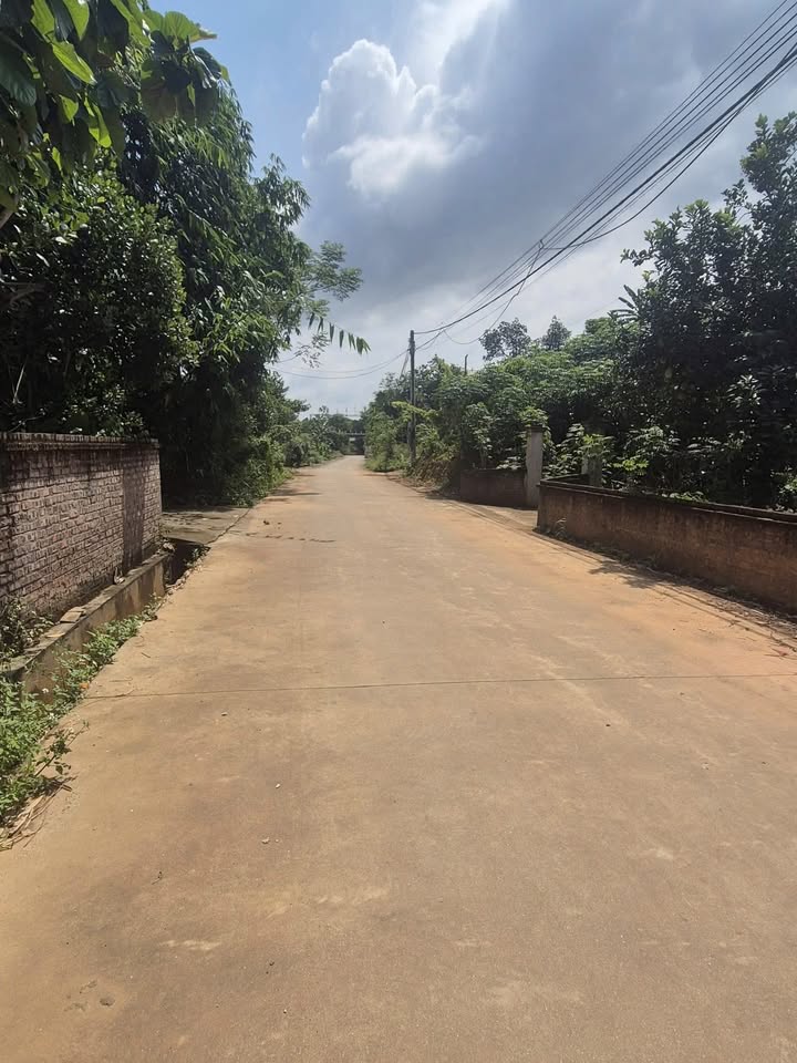 Đất thổ cư 547m² tại Khu 7 Thạch Đồng, Thanh Thủy - Giá thỏa thuận dễ chịu!