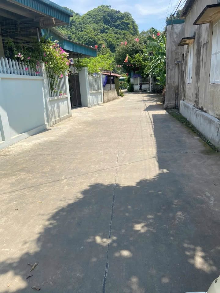 Đất nền Nam Sơn Tam Điệp 308,6m² giá 800 triệu - Cơ hội đầu tư tuyệt vời!