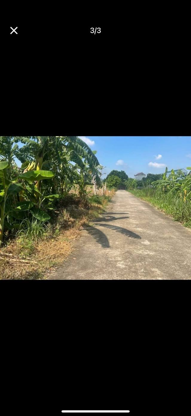 Đất thổ cư 300m² tại thôn Nguyễn, phường Yên Sơn, chỉ 1.5 tỷ - Cơ hội vàng đầu tư!